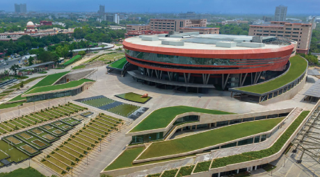 What Makes Us Different